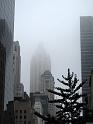NY (337)